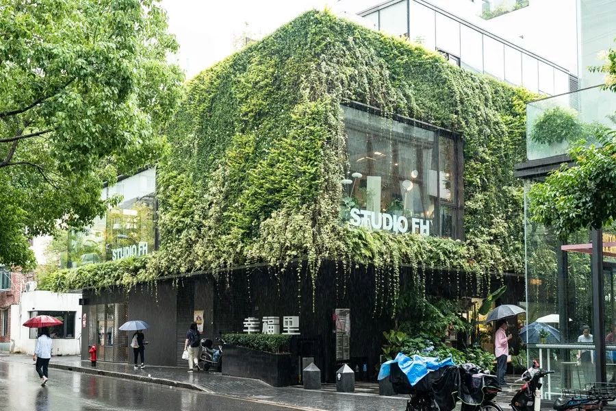 整个夏天唯有美食不可辜负,整个夏天的美食