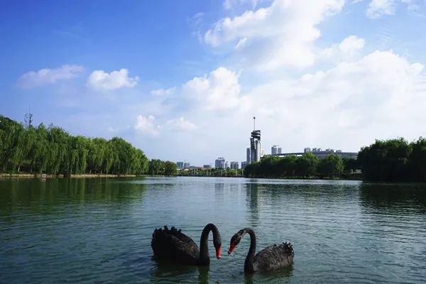 合肥工业大学2024年本科招生简章,合肥工业大学2019年招生简章