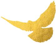 「关注」张家界市召开庆祝中国*产党共**成立98周年表彰暨“不忘初心、牢记使命”主题教育座谈会