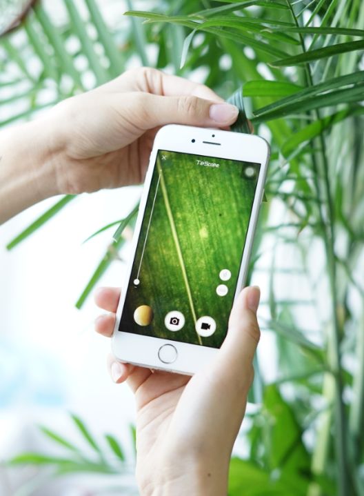 贴上它手机镜头秒变显微镜,贴在手机上的显微镜