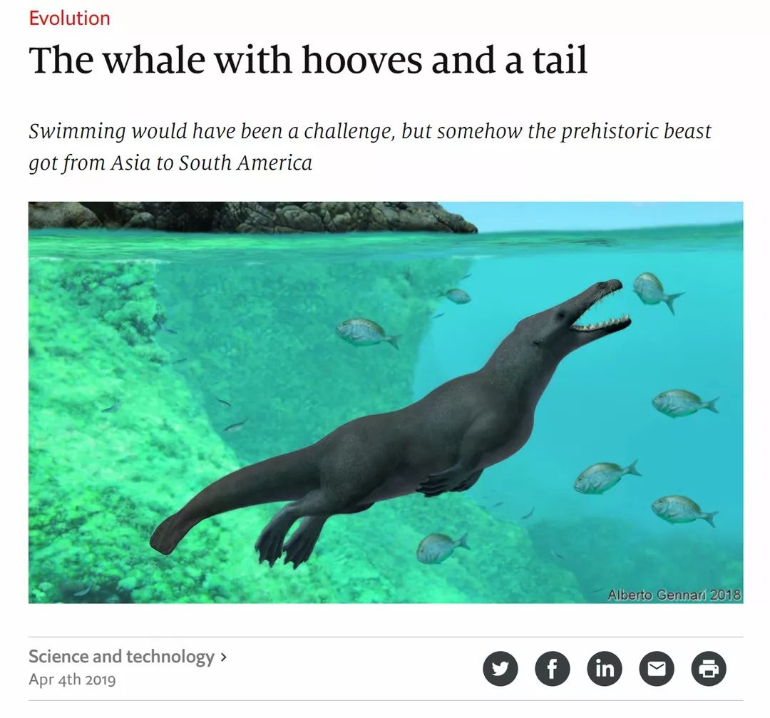 破冰行动|词缀Ped-的那些事