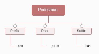 破冰行动|词缀Ped-的那些事