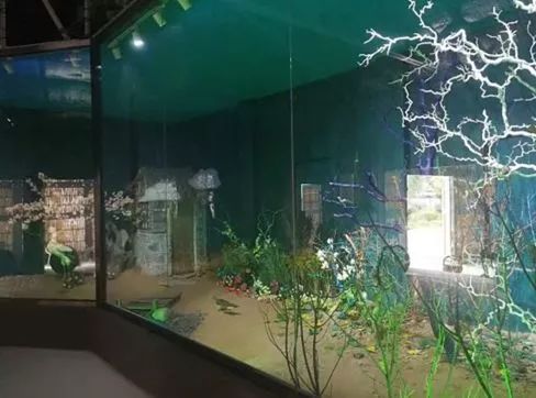 海洋夏令营,2017北戴河夏令营