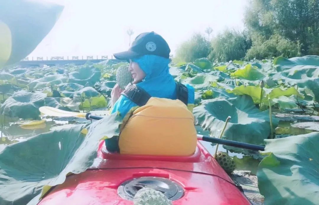 醉美荷花季,醉美荷花花海图片