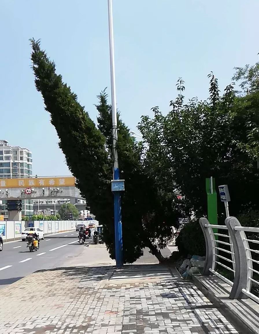 「民生督办」为避积水违章能否免处罚？春晖幼儿园收费合理吗？