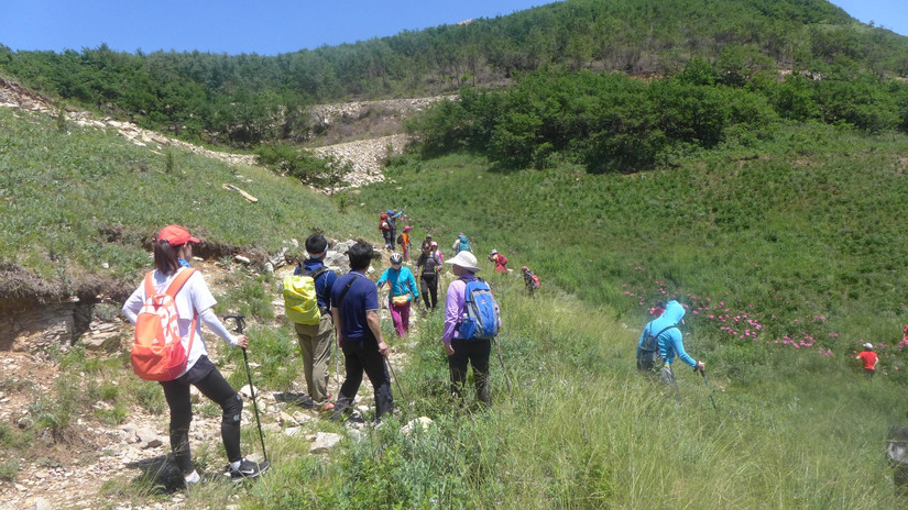 美丽芍药谷,云雾缭绕人间仙境芍药谷
