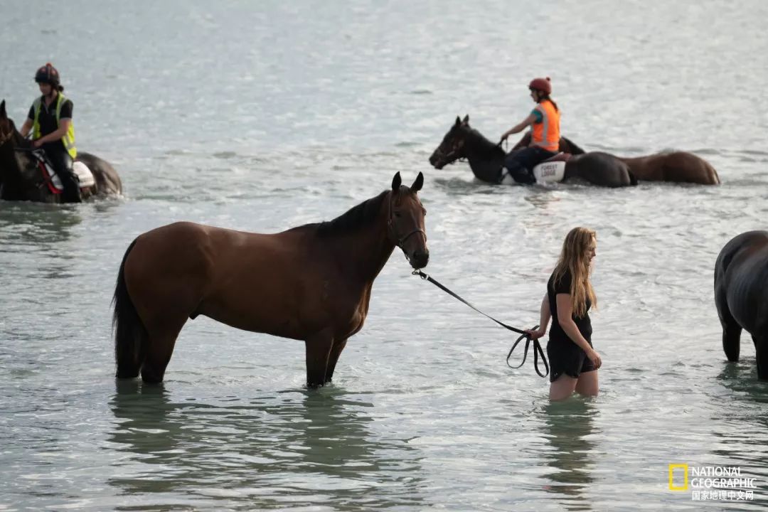 这10件事摄影新手一定要懂,对于热爱摄影的你来说最大的遗憾