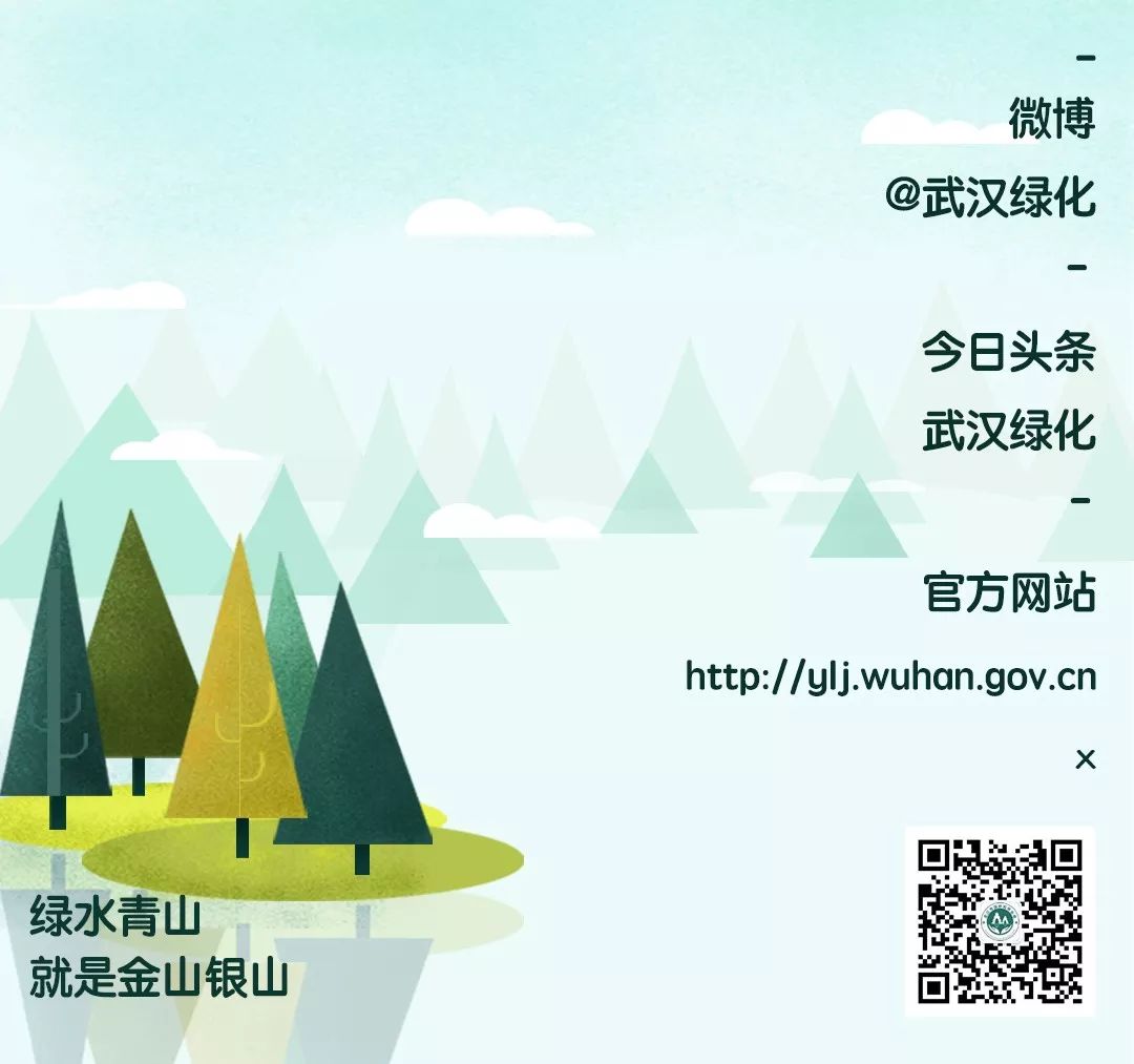 道德讲堂筑梦初心,关于不忘初心的经典道德讲堂