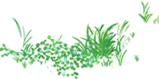 「女科荟」小女孩阴痒白带多该做什么检查呢？