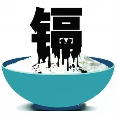 南京一学校大米有镉,大米中镉超标属于什么危害