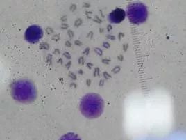 毕业季这就是青春最美的样子,毕业季好看女孩