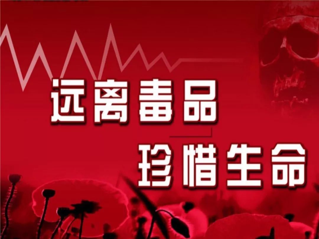 国际禁毒日毒品预防教育通知,626国际禁毒日禁毒知识学起来