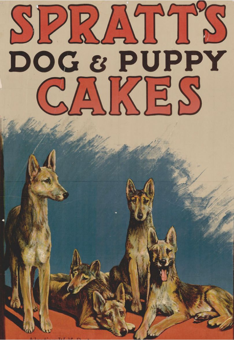 狗粮的历史来历,狗粮发展史大全