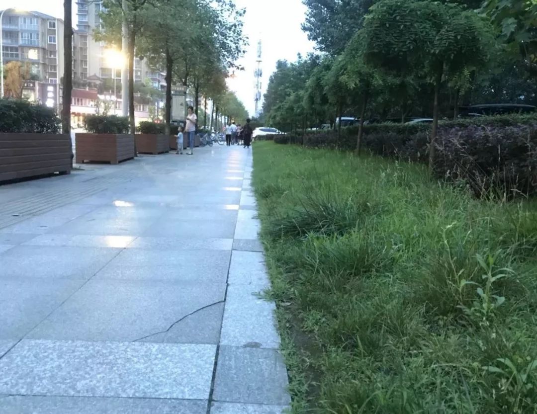 郧阳区滨江公园龙舟广场,郧阳滨江公园龙舟广场