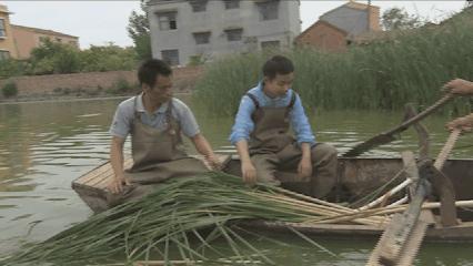 夏邑县美丽乡村介绍,美丽乡村之全景地图夏邑