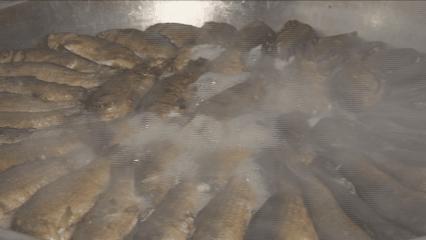 夏邑县美丽乡村介绍,美丽乡村之全景地图夏邑