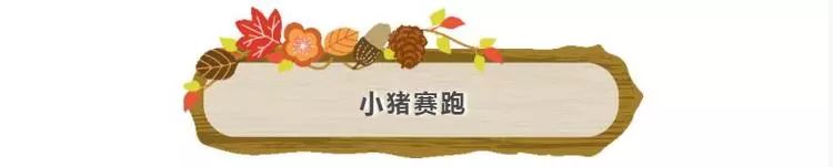 普通门票疯狂动物城,假期打卡疯狂动物城