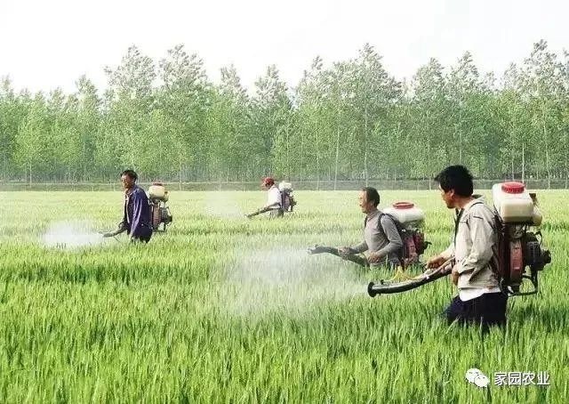 高手打药技巧,高手打药技巧视频教程
