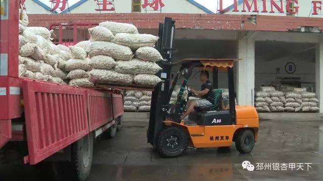 今天，人民网聚焦邳州：小蒜头撬动百亿级大产业