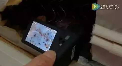 可怕的床垫,睡了10年的床垫拆开全是垃圾