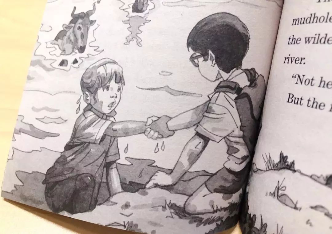 树屋英文原版书单推荐,英文童书神秘树屋