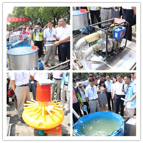 规模化水产养殖业基地的建设,打造国家级畜牧水产品基地