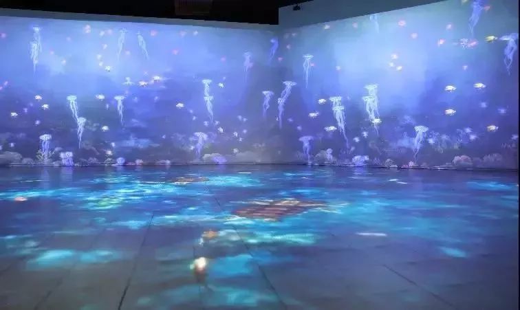 三亚海昌梦幻海洋不夜城体验券 (三亚海昌不夜城冒险岛)