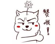 2020年郑州10件大事,2019年2月至5月份郑州大事