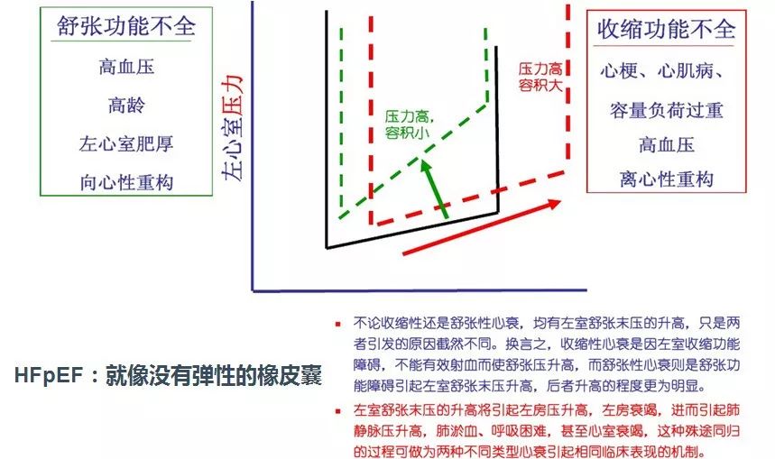 「2019CIHFC」高传玉教授：HFpEF诊断治疗新进展