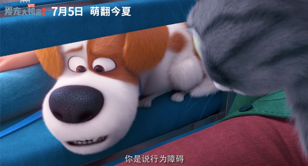 穿西装的宠物狗走路,穿moncler的男生