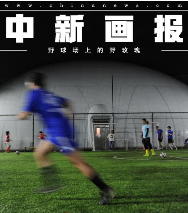 野球场玫瑰,野球场