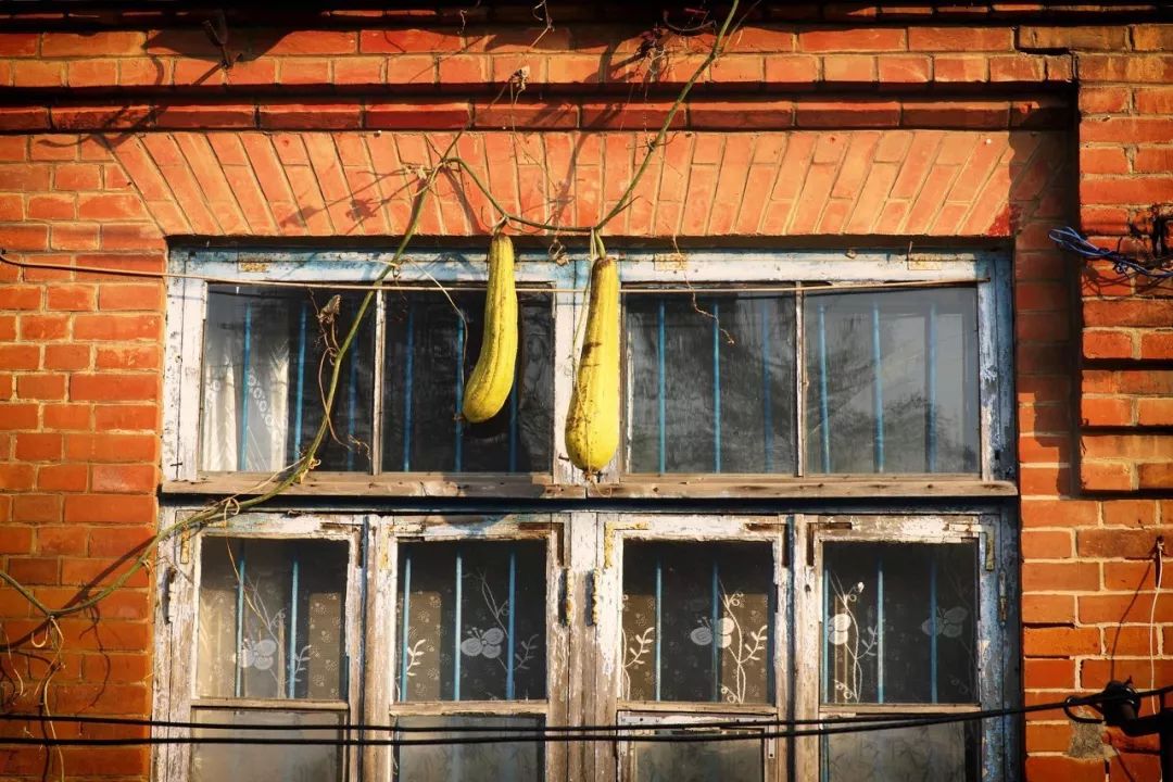 厦门青岛之旅,出行去厦门