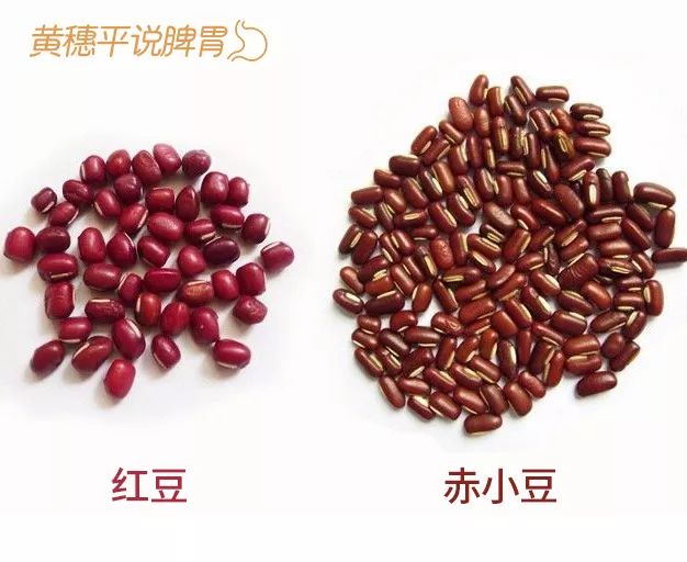 保胃健康｜祛湿第一步：如何判断身体有湿气？