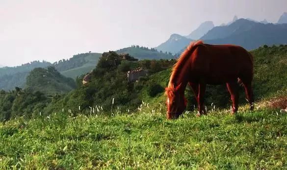 冀情山水(33)|有了这些均温不足20℃的空调山,再热情的“烤验”也挡得住!