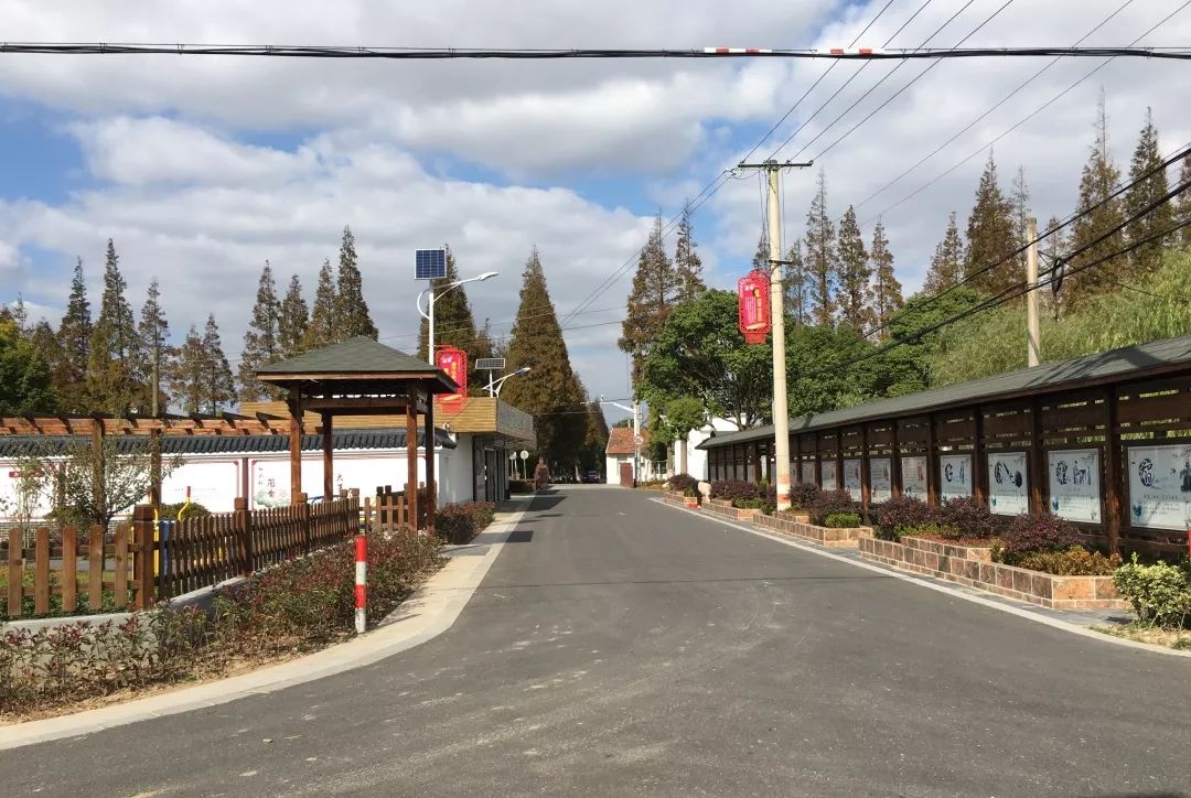美丽乡村崇明岛,美丽乡村建设崇明