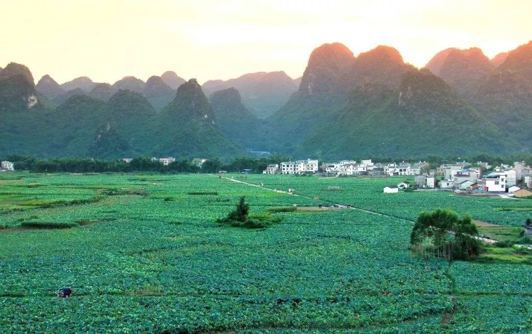 柳州每月工资5000,柳州平均工资标准