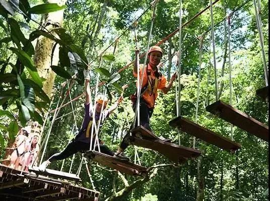 来西双版纳，做大自然的学生|雅居乐·西双林语夏令营开始报名啦