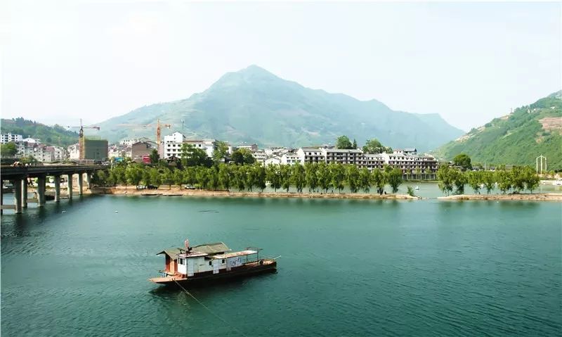 石泉|“鱼”生请多指教