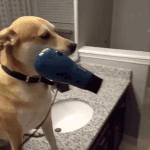 节食一个星期瘦了10斤,节食瘦了20斤如何保持