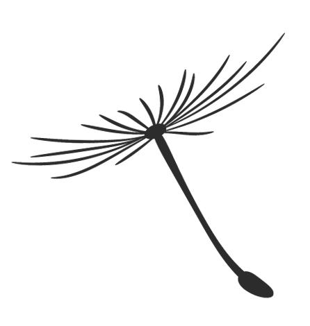 华政,往事并不如烟