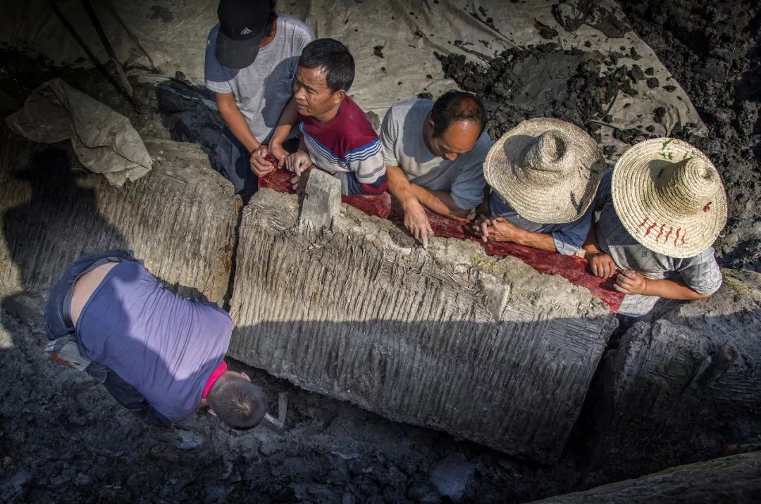 我们常说中华文明有上下五千年,中华文明五千年一路走来