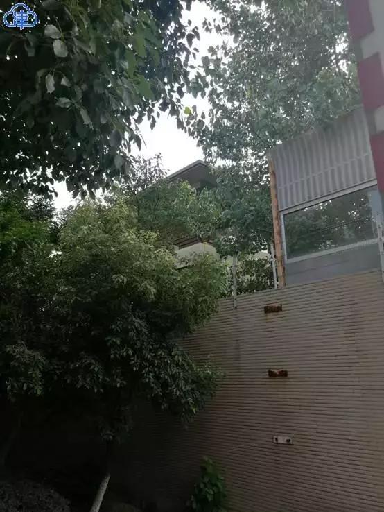 新城董事猥亵女童作案过程曝光！王振华猥亵案周女士身份揭秘王振华上海猥亵女童案最新消息