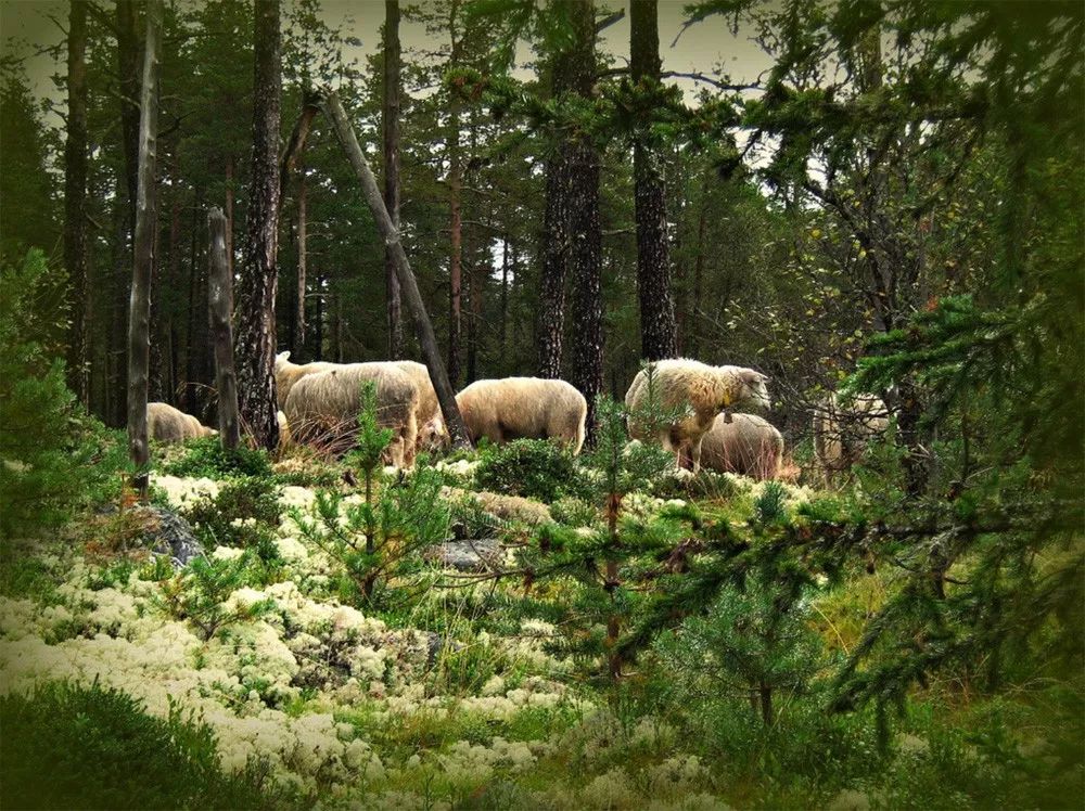时差岛法国人,时差岛上