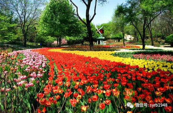 沈阳适合大人游玩的地方,沈阳适合青少年游玩的地方推荐