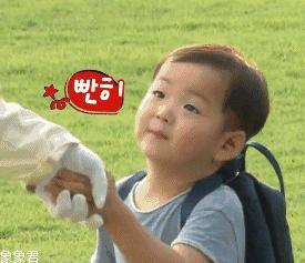 麦玲玲2023十二生肖蛇运程完整版,麦玲玲属蛇2024年运势及运程