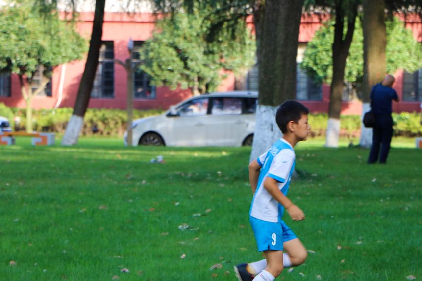 仙气荷池、时光走廊、滨湖绿道……川大持续惊艳焕颜！同学：这是仙境吗？