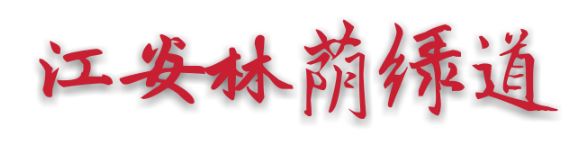 仙气荷池、时光走廊、滨湖绿道……川大持续惊艳焕颜！同学：这是仙境吗？