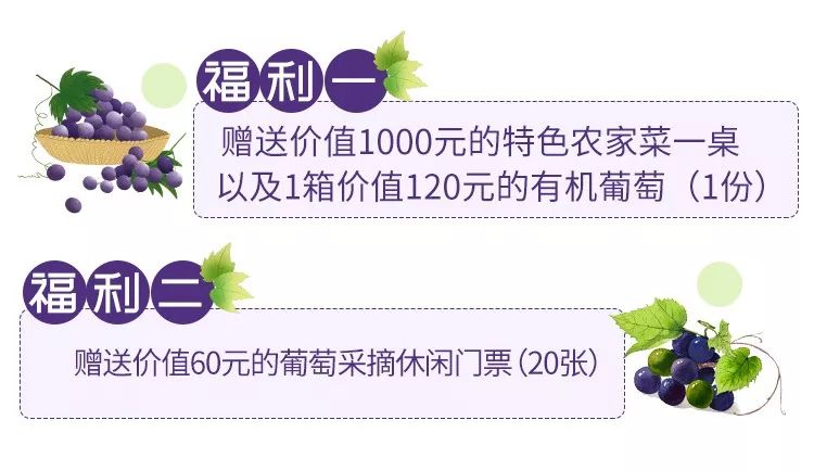连阿里巴巴都点名！拿奖拿到手软的“葡萄王”来了~入园采摘，尽享千元农家菜