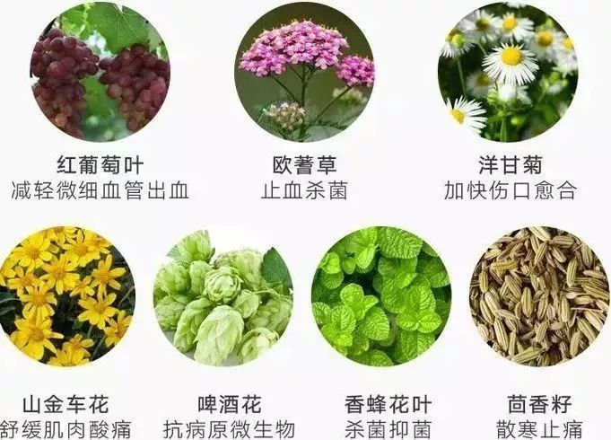 提前购|这些早晚都要买的刚需好物,居然有不要钱白拿的机会