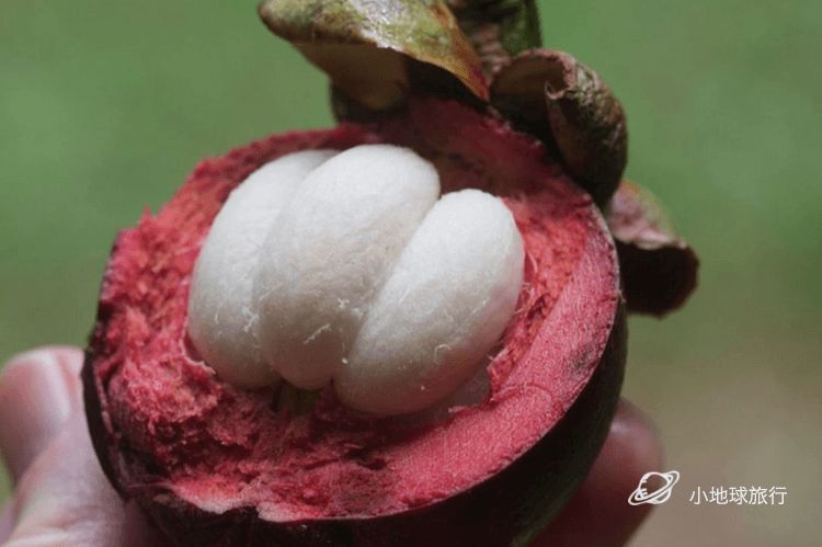 缅甸一日游经典攻略,缅甸旅游3-4天攻略最佳线路